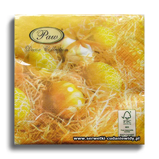 4941PACZKA Raffia