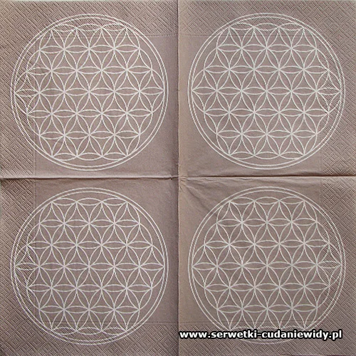 4943 Flower Of Life