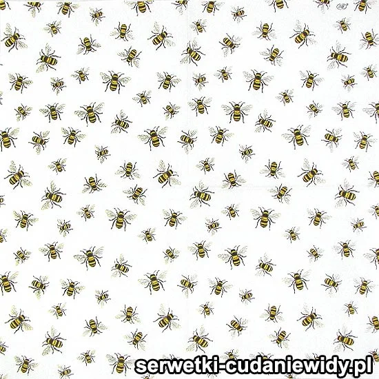 Owady