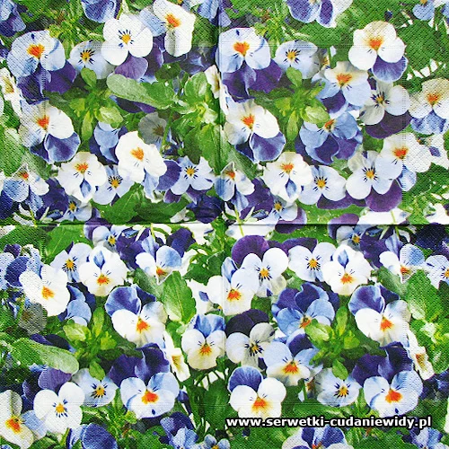 4958 Pansy Carpet