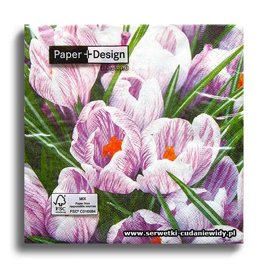 4963PACZKA Blooming Crocus