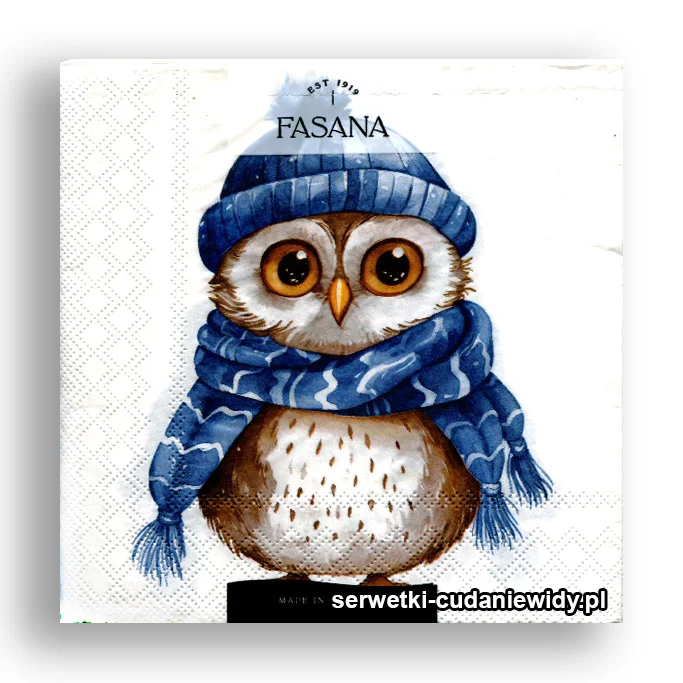 4966PACZKA Sowa Zimowa Na Niebiesko