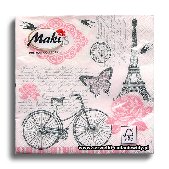 4969PACZKA Parisian Bicycle