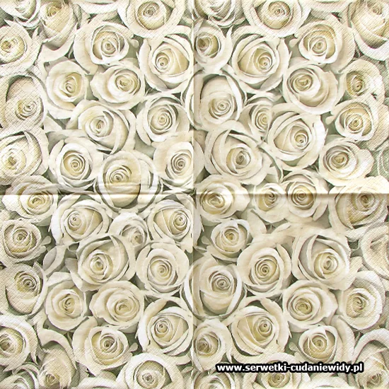 4976 Elegant White Roses