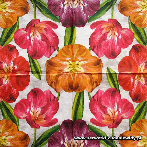 5001 Tulipani