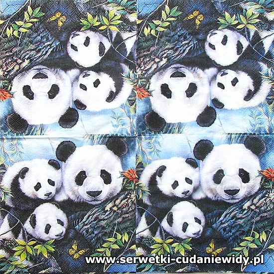 5030 Panda