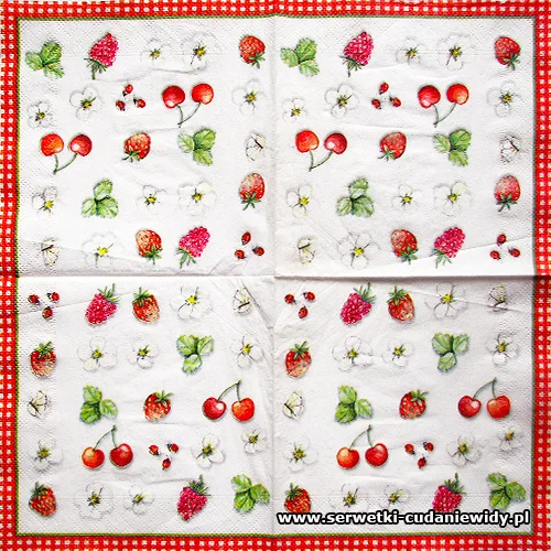 5031 Fruits