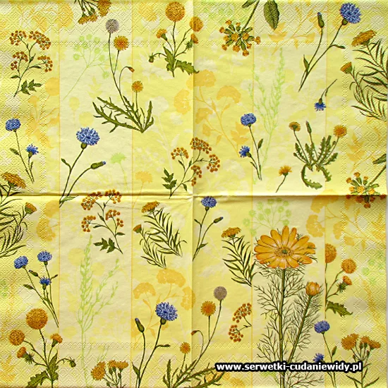 5037 Flower Field