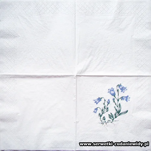 5066 Blue Flower Field