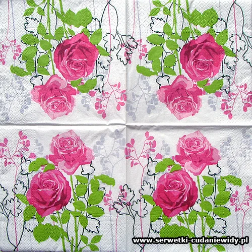 5067 Rose Roses
