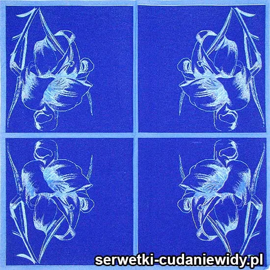 50828 Serwetki Papierowe