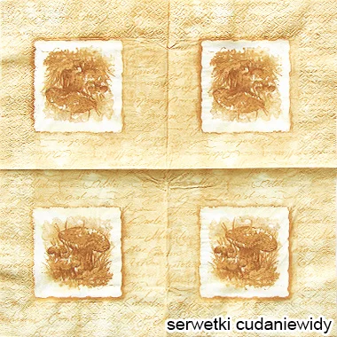5097 Paper Design