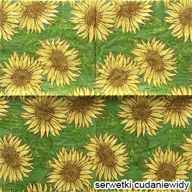 5107 Paper Design