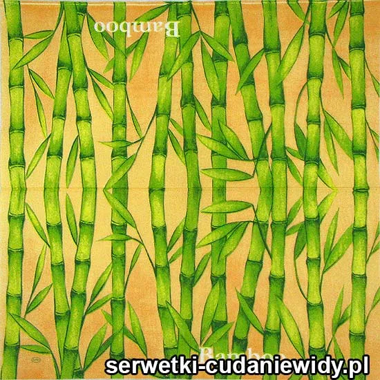 51287 Serwetka Papierowa