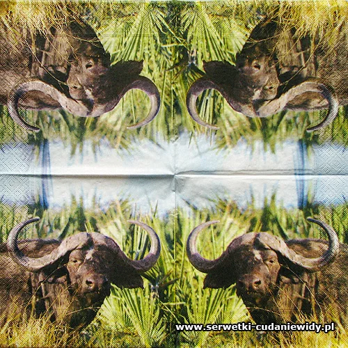 5142 Buffalo