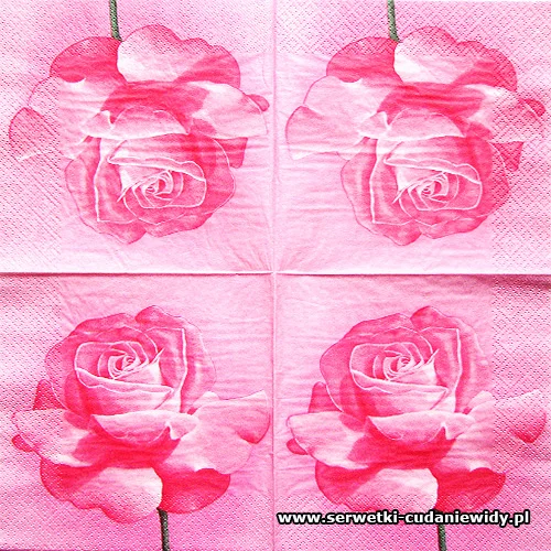 5164 Pinky Ros