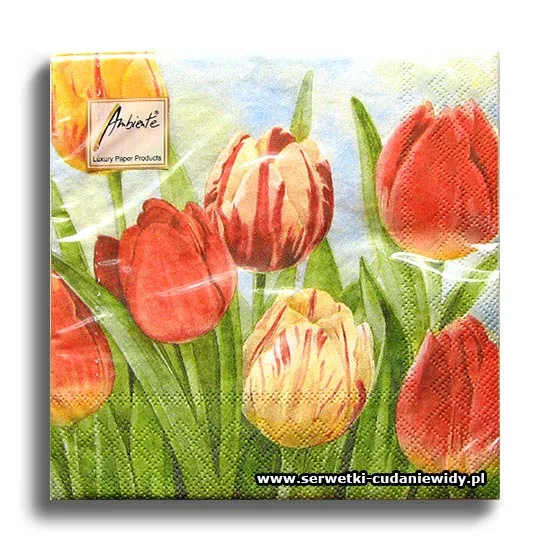 5291PACZKA Tulips Range