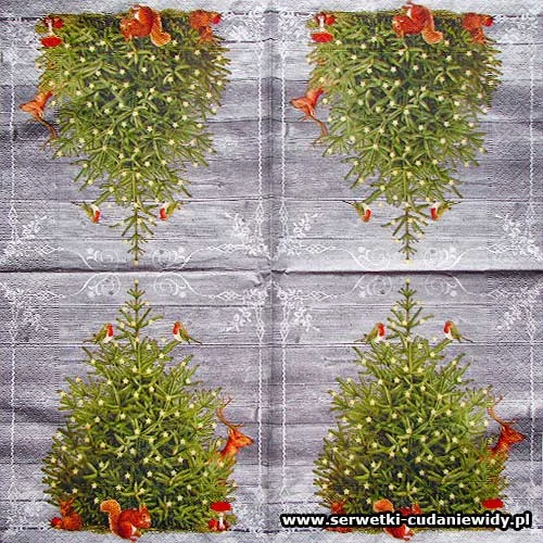 5310 A Special Tree
