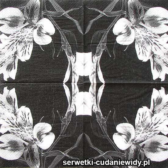 53228 Orchidea