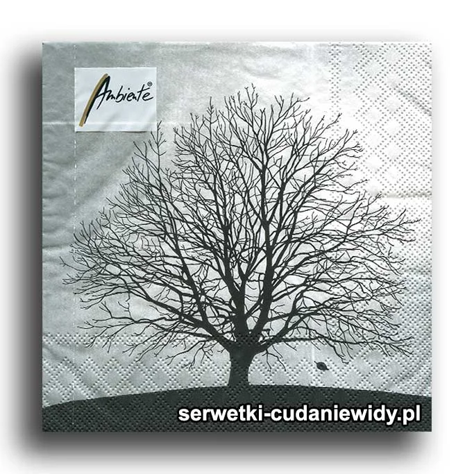 5329PACZKA Drzewo Bez Liści