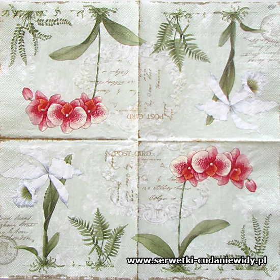 5332 L`orchidee