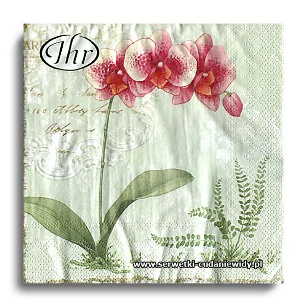 5332PACZKA L`orchidee