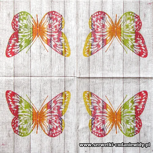 5394 Colourfull Buterfly