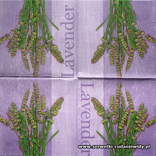 53980 Bunch Of Lavender