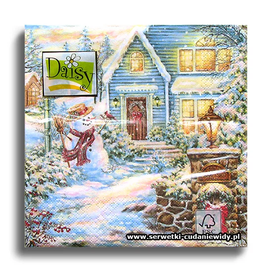 5413PACZKA Winter Time
