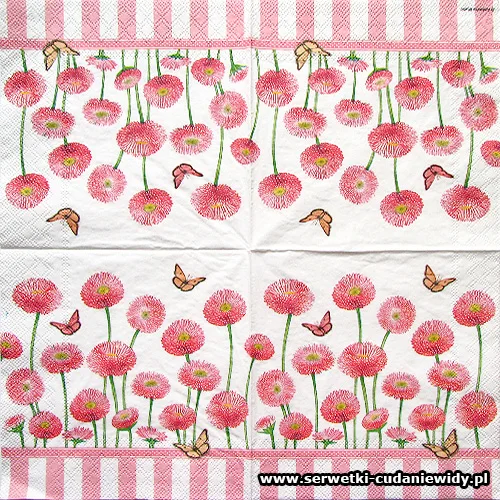 5426 Bellis Rose