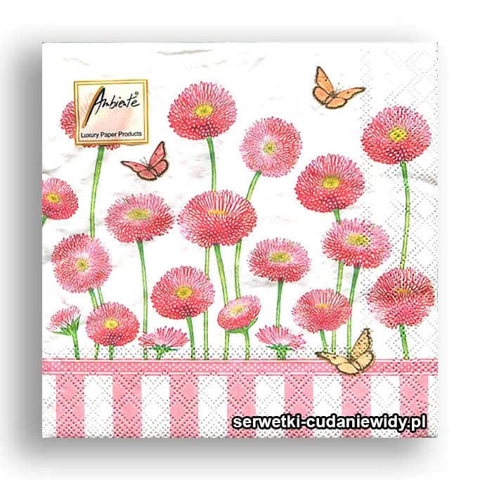 5426PACZKA Bellis Rose