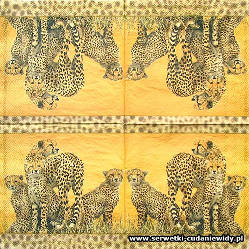 5430 Cheetah Family