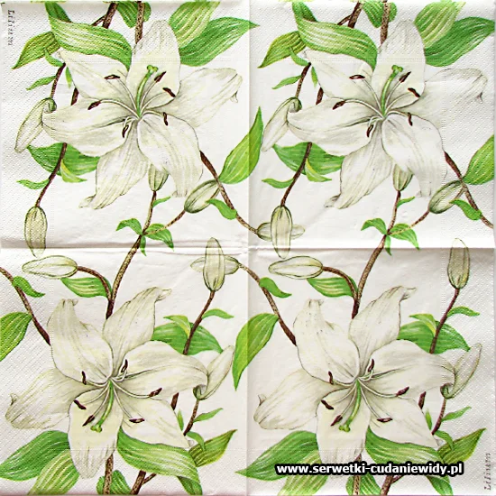 5457 White Lily