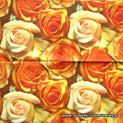 5465 Orange Roses
