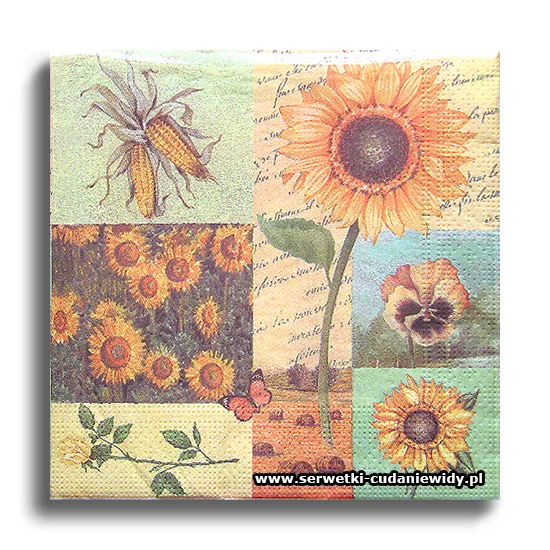 5500PACZKA Yellow September