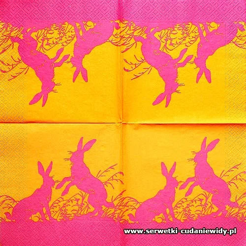 5532 Hare In Spring