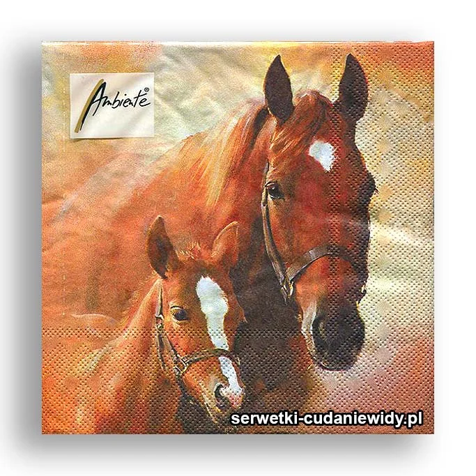 5544PACZKA Klacz I Źrebię