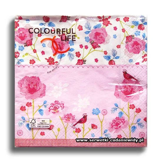 5558PACZKA Pink World