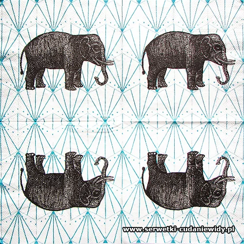 5602 Old Elephant