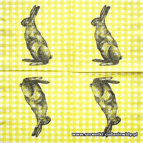 5613 Old Bunny