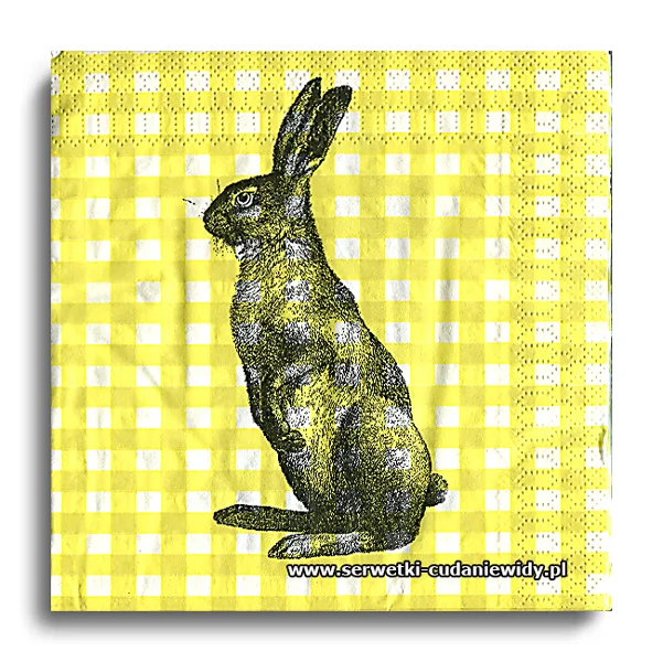 5613PACZKA Old Bunny