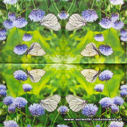 5629 Buttefly Duet