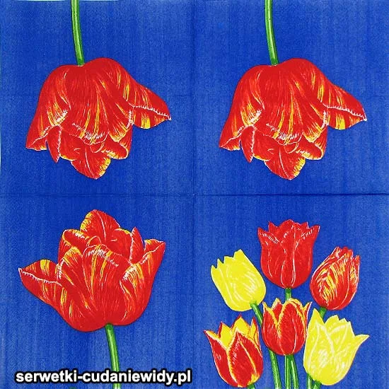 56290 Wzór Unikalny