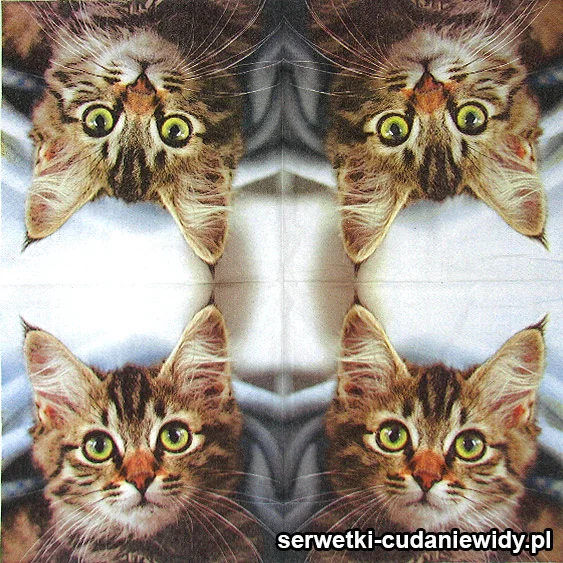 5655 Syberyjski Leśny