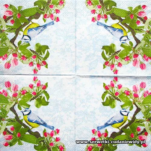 5674 Summer Bird