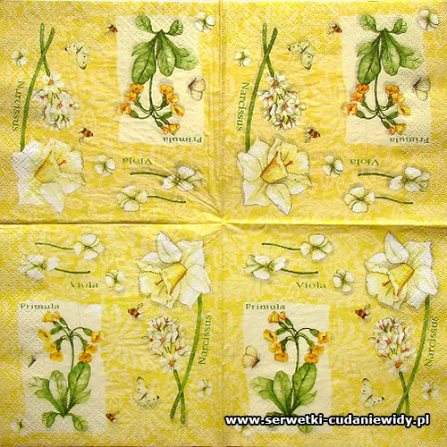 5679 Napkins