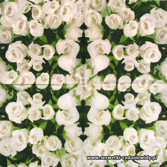 5685 White Roses