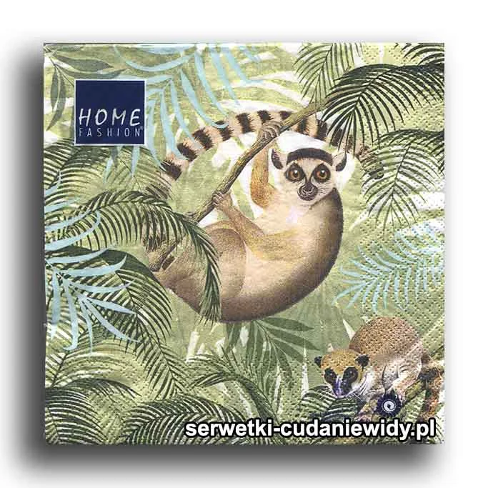 5690PACZKA Lemur