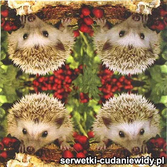 5694 Letni Jeż