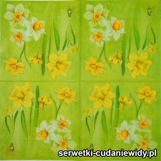 57068 Serwetki Dekoracyjne
